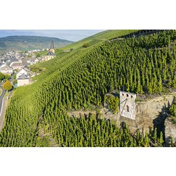 Historický sklep vinařství M. Schömann