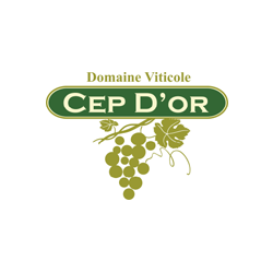 LogoCepDor-1.png