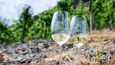 Moselska-vina-ryzlink-terroir-Mosel.jpg