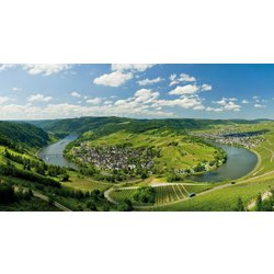 Vinařská oblast Mosel (Německo)
